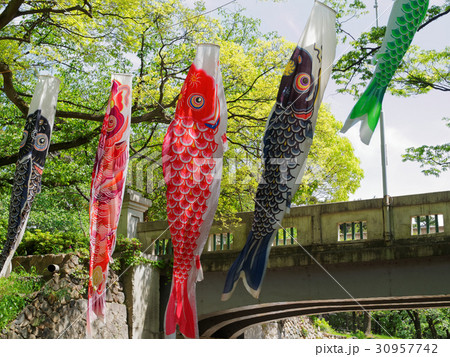 兵庫県西宮 こいのぼりが泳ぐ夙川公園 30957742
