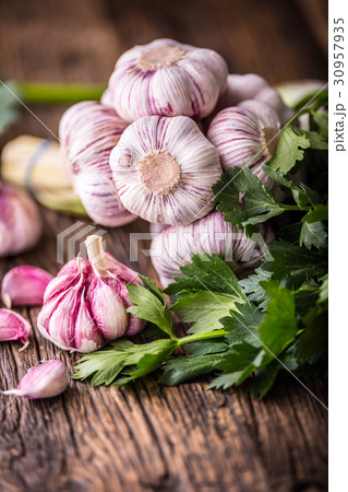 Garlic. Fresh garlic bulbs on old wooden board. 30957935