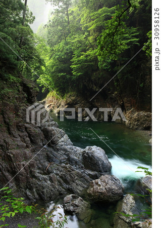 大杉谷より 30958126