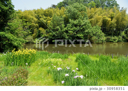 千里東町公園長谷池 千里東町公園長谷池 30958351