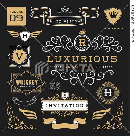 Set of retro vintage graphic design elements 30958828