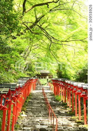 新緑の貴船神社 新緑の貴船神社 30958926
