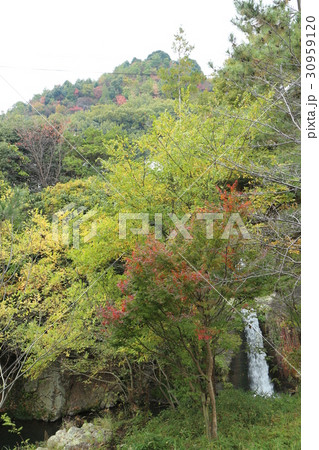 石手川の岩堰 石手川の岩堰 30959120