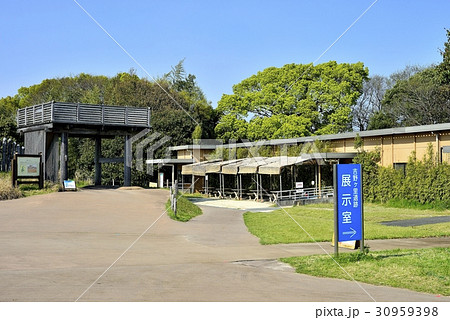 佐賀県　吉野ヶ里遺跡 30959398