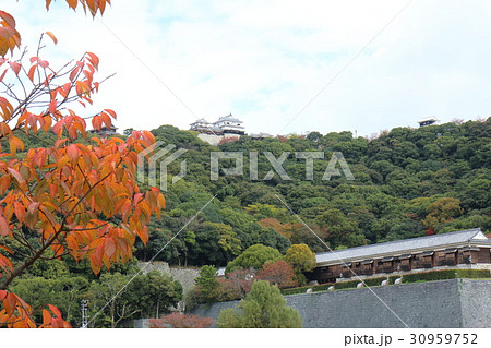 城山公園から見た秋の松山城 30959752