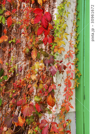 紅葉 紅葉 30961672