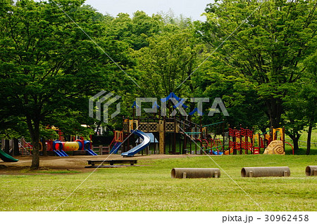 新緑の岩槻城址公園 30962458