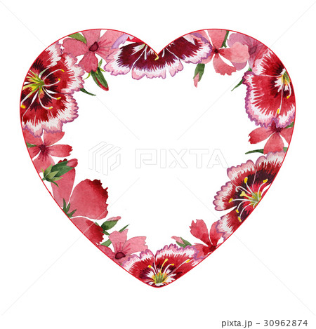 Wildflower carnation flower frame in a watercolor Wildflower carnation flower frame in a watercolor 30962874