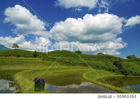 扇棚田 30963163