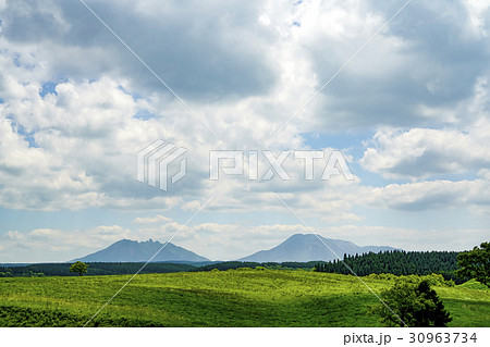 産山村　うぶやま牧場 30963734