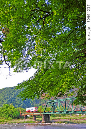 初夏の樽見鉄道 30964237