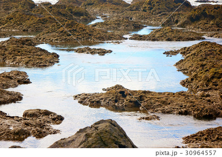 Reef with copy space in the middle 30964557