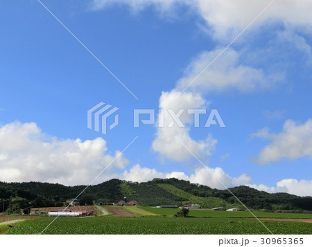 北海道　空知地方　牧場のある風景 30965365