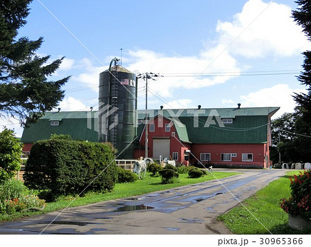 北海道　空知地方　牧場のある風景 30965366