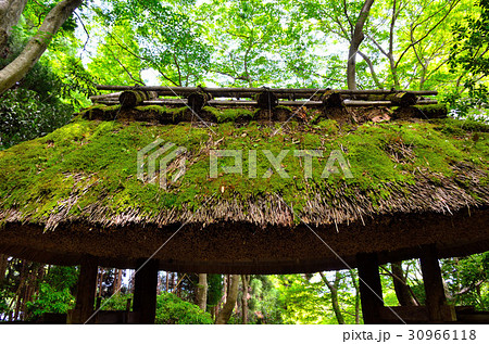 京都の旅 30966118