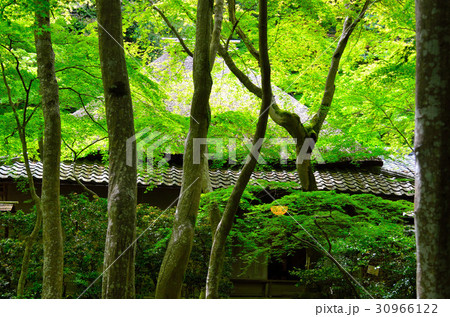 京都の旅 30966122