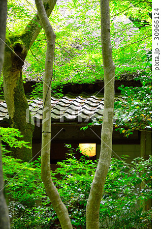 京都の旅 30966124