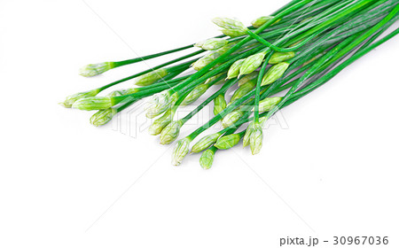 Kuicheai Vegetable leaves Thailand food frash 30967036