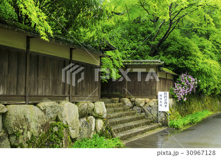 瑠璃光院　新緑 30967128
