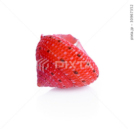 sea shell isolated on white 30967352