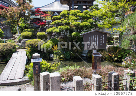垂井の泉　臥龍山玉泉禅寺 30967578
