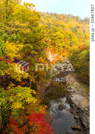 紅葉の谷　恵庭渓谷 30967807