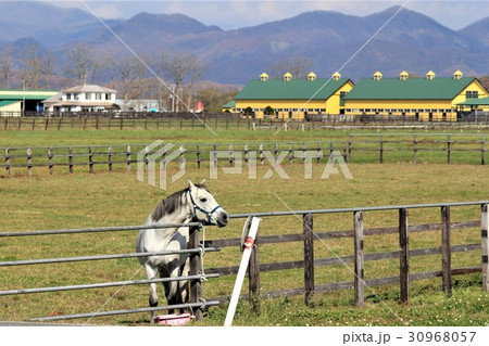 日高路サラブレッドロード(北海道) 日高路サラブレッドロード(北海道) 30968057