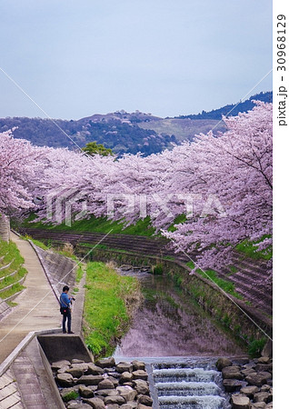 写真撮影 撮影 撮影中 30968129