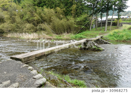早瀬の一本橋(4月下旬) 早瀬の一本橋(4月下旬) 30968275