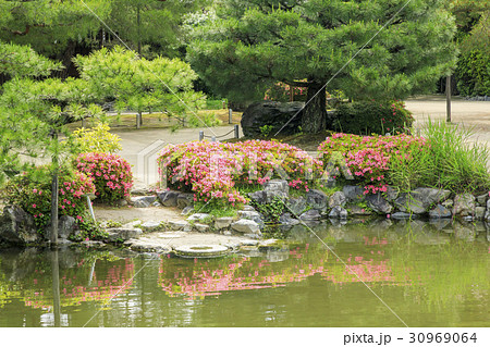 平安神宮　新緑 30969064