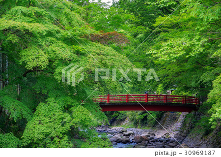 【静岡県】修善寺　かえで橋 30969187