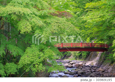 【静岡県】修善寺 かえで橋 【静岡県】修善寺 かえで橋 30969195