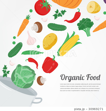 Organic food. Vegetable food icons. Healthy eating 30969271