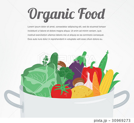 Organic food. Vegetable food icons. Healthy eating Organic food. Vegetable food icons. Healthy eating 30969273