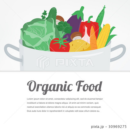 Organic food. Vegetable food icons. Healthy eating 30969275
