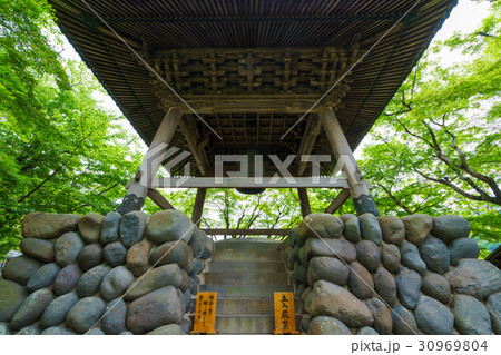 【静岡】新緑の修善寺 【静岡】新緑の修善寺 30969804
