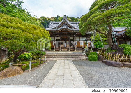 【静岡】新緑の修善寺 30969805