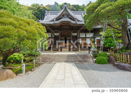 【静岡】新緑の修善寺 【静岡】新緑の修善寺 30969806