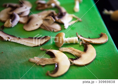 western food,food western food,food 30969838