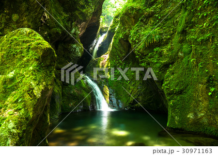 《東京都》海沢渓谷・ネジレの滝《奥多摩》 30971163