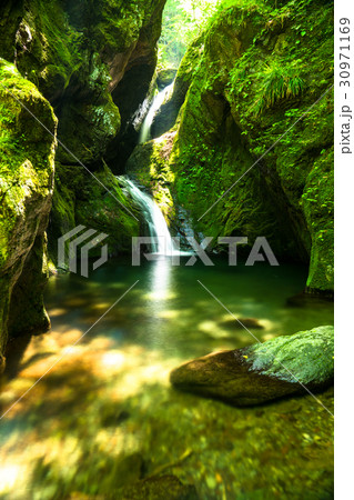 《東京都》海沢渓谷・ネジレの滝《奥多摩》 《東京都》海沢渓谷・ネジレの滝《奥多摩》 30971169