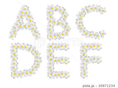 Plumeria alphabet isolated 30971234