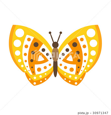 Cute yellow butterfly with open wings colorful 30971347