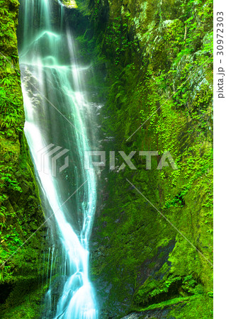 《東京都》海沢渓谷・大滝《奥多摩》 30972303