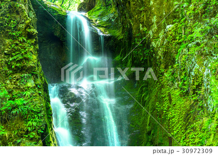 《東京都》海沢渓谷・大滝《奥多摩》 30972309