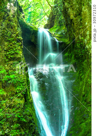 《東京都》海沢渓谷・大滝《奥多摩》 30972310