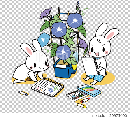 朝顔の観察 30975400