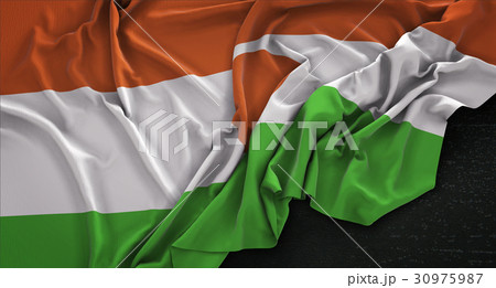 Niger Flag Wrinkled On Dark Background 3D Render 30975987