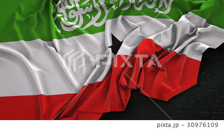 Somaliland Flag Wrinkled On Dark Background 30976109