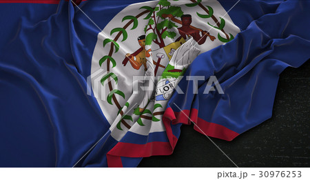 Belize Flag Wrinkled On Dark Background 3D Render 30976253